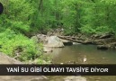 Tarih Arşivi - Su Facebook