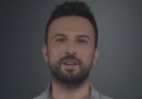 Tarkan'dan Sokak Hayvanlarına Destek