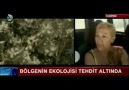 Taş ocaklarının doğa tahribatı Kanal D ana haberde