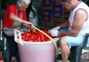 Taste Life - Italian Families Make Tomato Pasata