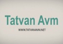 Tatvan Avm.net