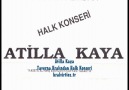 Taverna Kralından Halk Konseri - KRALVİRTİOZ.TR (Nette İlk)