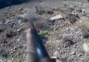 Tavşanı vuramayan avcının küfürleri - Av ve Yaban Hayat - Hunting