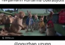 Tavşanları Kurtarma Oberasyoni - Oğuzhan.uzunn