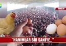 Tavuk musun bıldırcın mıHiç öyle gulu gulu yok