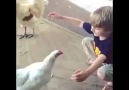 Tavuk ve Çocuk Bakın Nasıl Sarılıyor :)