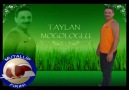 TAYLAN MOĞOLOĞLU  -  MUTALLİP FIRINI - SURİÇİ - L/SA