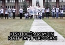 Tayyibe paralel doğum günü şeysi...