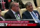 Tayyip Çılgına Döndü