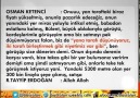 TAYYİPİN ÇATALCA VİLLALARI