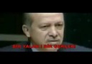 TAYYİP YALANDOĞAN (AKP LİLERİN ÇILDIRDIĞI VİDEO )