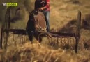 TC Nurettin Yolcu - Belgesel (Gölbelen) Çıldır Ardahan Facebook