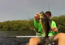 Teach a man to fish and youll get some hilarious videos