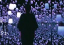 teamLab Borderless is a must-see if you are visiting Tokyo! teamLab