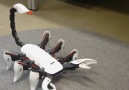 Tech Viral - Bio-Inspired Robots that Mimic Nature Facebook