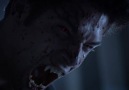 Teen Wolf Season 4 Mid-Season Trailer [HD]