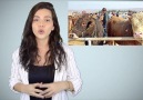 Tekeli satın alan yabancılar Yerli sigaraları ortadan kaldırdılar