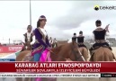 Tekelti TV - Karabağ Atları Facebook