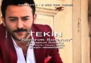 TEKİN TEKİN - SORARIM SORARIM (Amanın Aman) VİDEOKLİP 2014