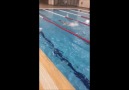 Teknik yüzme derslerimiz SarFit Huzur&başladı... &&