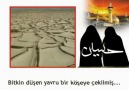 TELL-İ ZEYNEBİYE ...