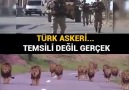 Temsili degil Geçek