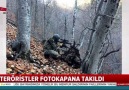 Teröristler fotokapana takıldı