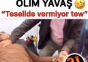 Tesellide vermiyor