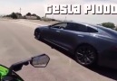 Tesla vs Kawasaki ZX10RAğlamamak elde değil D