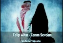 Tewhid Ehli canım sewdam ,((