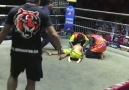 Thailand'da Küçük Çocukların Muay-Thai Maçı