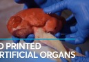 Thanks to 3D printing scientists can now recreate any organ in the human body.