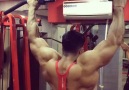 THAT BACK !!