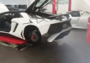 That is LOUD Aventador SV Roadster