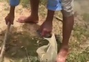 Thats how you fish