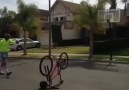Thats How You Shoot A Hoop