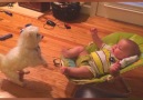 Thats very sweet puppy but I dont think the baby has any treats for you.