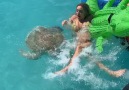 That time when a turtle attacked a... - It&Better in the Bahamas