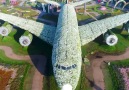 The Beautiful Dubai Miracle Garden