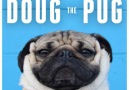 The Best of Doug the Pug