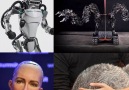 The 11 best worst and weirdest robots of 2017.