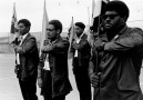 The Black Panthers: Vanguard of the Revolution