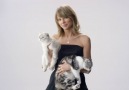 The Cats