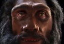 The Evolution of Man's Face Over The Course Of 6 Million Years