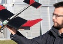 The Feathers on This Drone Increase Its Accuracy in Flight