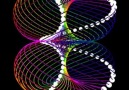 The fundamental pattern of the universe: Torus