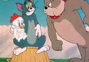 The Geyik - Tom ve Jerry Facebook