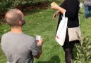 The greatest response to a marriage proposal ever.. Wait for it