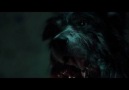 THE HALLOW TÜRKÇE ALTYAZILI PART 2
