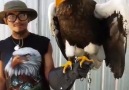 The Heaviest Eagle In The World